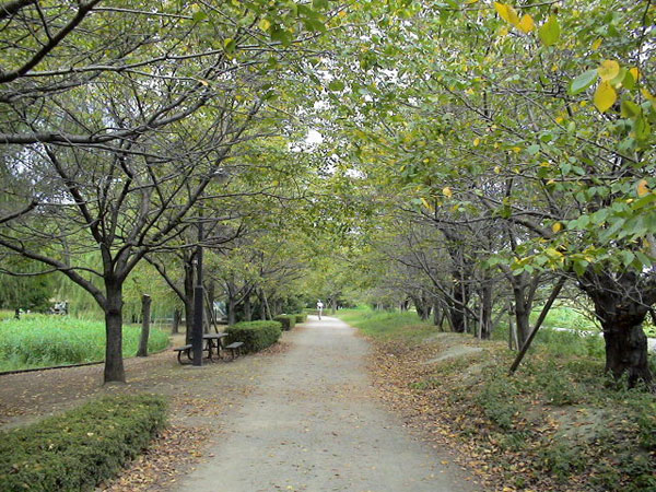 三橋総合公園