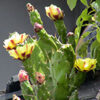 Thumbnail of post image 058