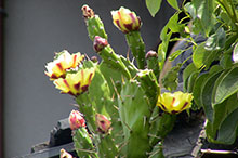 Thumbnail of post image 104