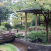 Thumbnail of related posts 150