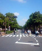 恵比寿・横断歩道