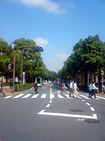 恵比寿・横断歩道