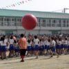 小学校運動会の大玉転がし