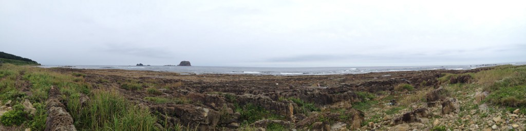 飛島・荒崎