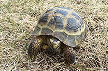 Thumbnail of post image 150