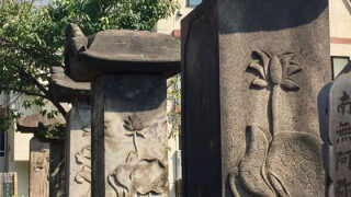 光照寺・酒井家墓地