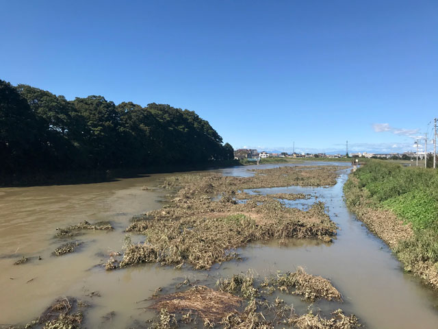 台風19号で増水した新河岸川