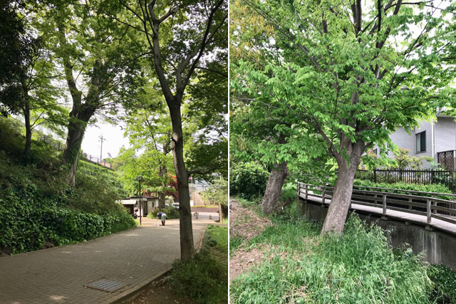 仙波河岸史跡公園（川越）