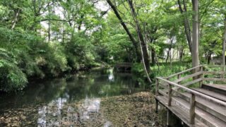 仙波河岸史跡公園(川越)