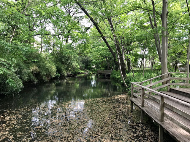 仙波河岸史跡公園（川越）