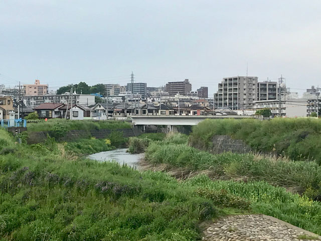 新扇橋から見た川越市街