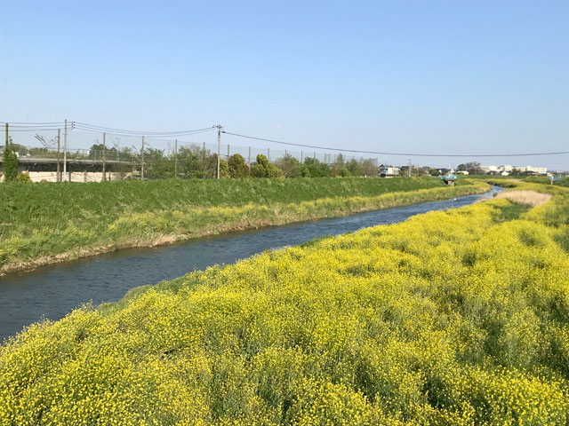 新河岸川・扇河岸