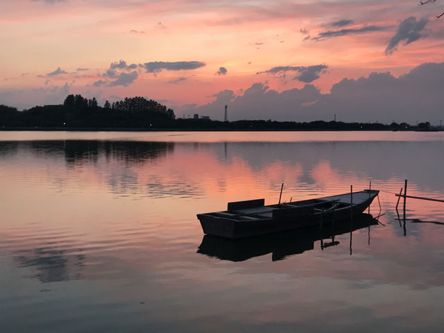 伊佐沼の夕景