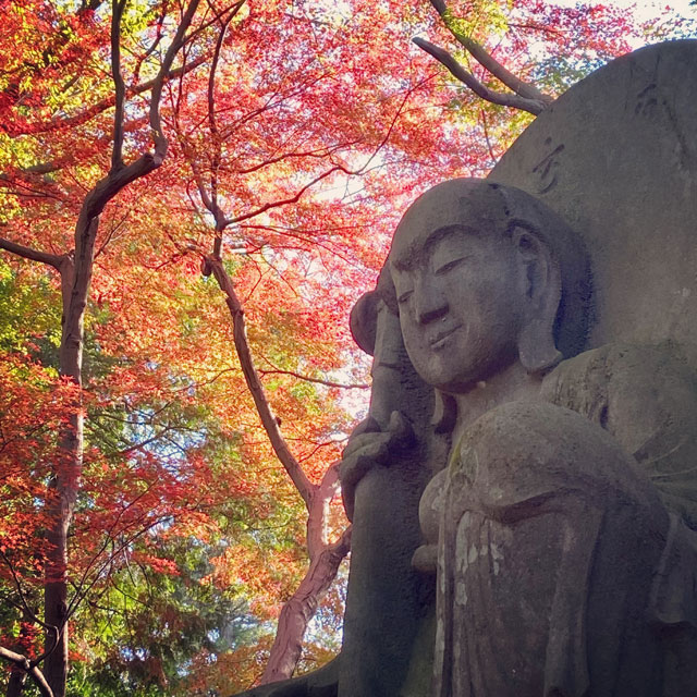 紅葉の平林寺