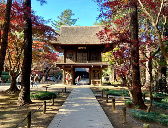 平林寺の山門