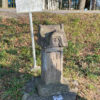 戸隠神社九頭龍大神（柏原新田）