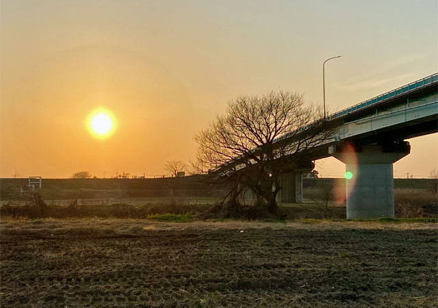 入間大橋のたもと（入間川）