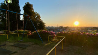 西沼公園の夕景（ふじみ野市）