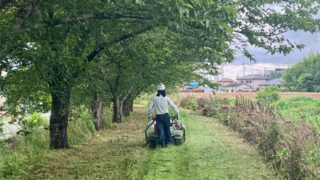 新河岸川の雑草刈払い