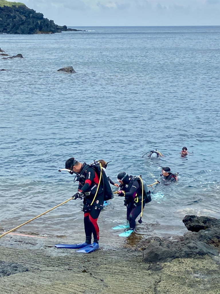 ナズマド(八丈島