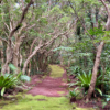 八丈植物公園（八丈島）