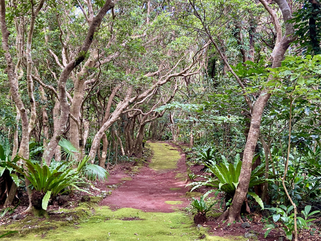 八丈植物公園（八丈島）