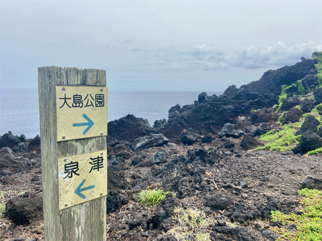 大島公園海岸遊歩道