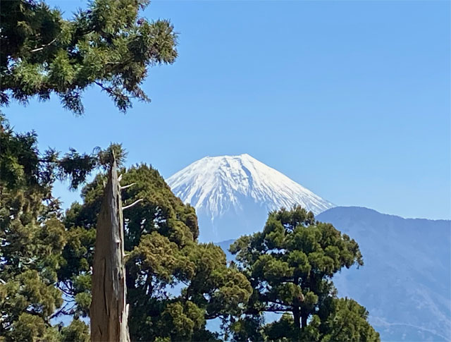 身延山・奥の院思親閣から見た富士山