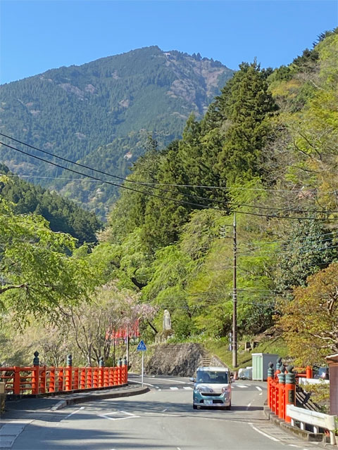 久遠寺総門付近から見た身延山
