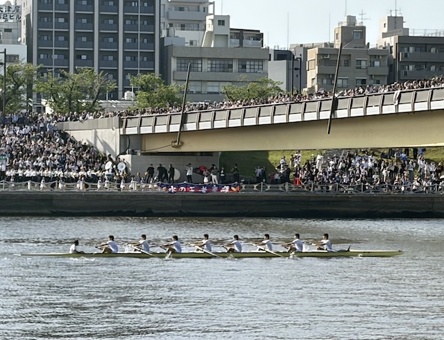 早慶レガッタ2026